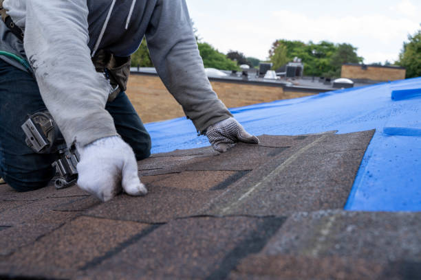 Best Roof Gutter Cleaning  in Wiggins, MS