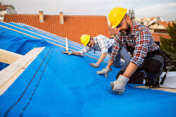 Best Metal Roofing Contractor  in Wiggins, MS