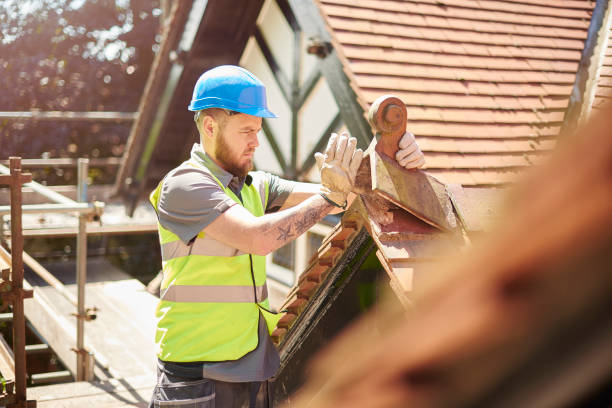 Best Roof Gutter Cleaning  in Wiggins, MS