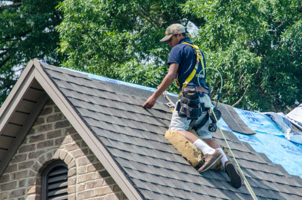 Best New Roof Installation  in Wiggins, MS