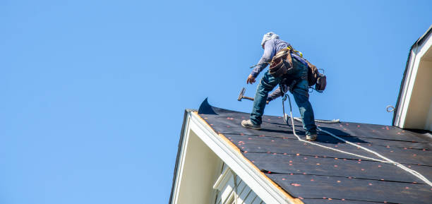 Best Roof Maintenance Services  in Wiggins, MS